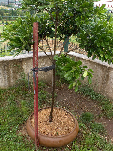 HPIM8113.JPG