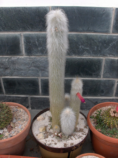 HPIM8334.JPG