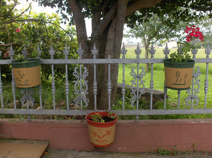 HPIM8401.JPG