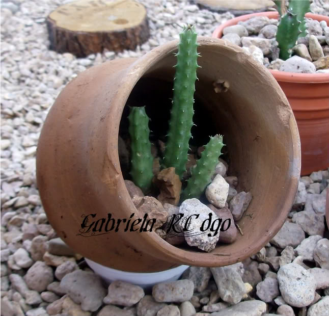HPIM8432.jpg