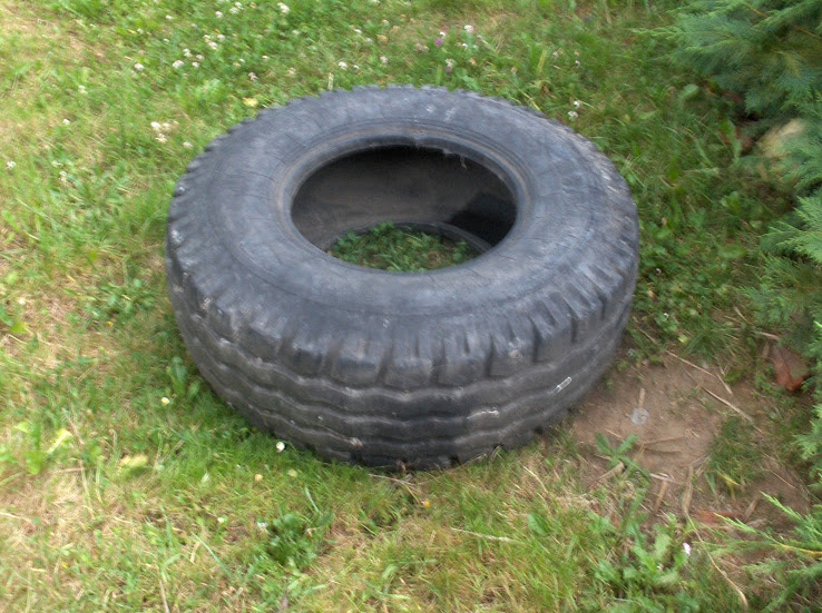 HPIM8598.JPG