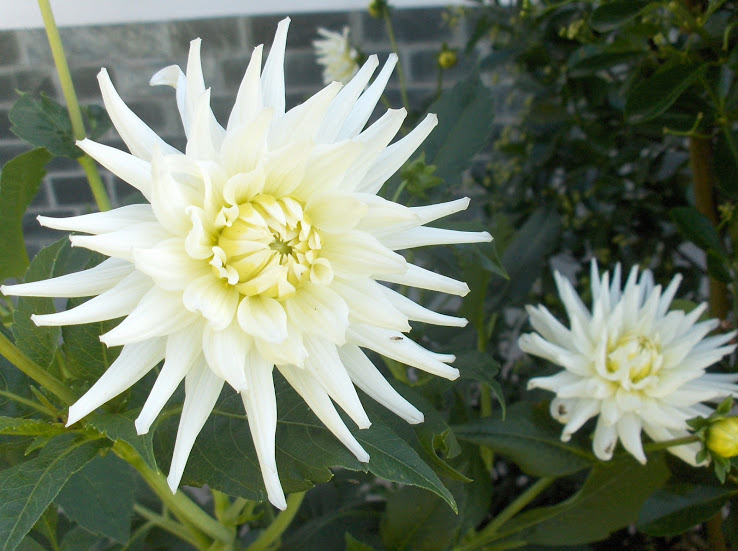 HPIM8602.JPG