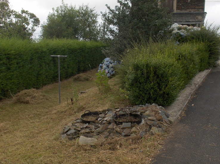 HPIM8675.JPG