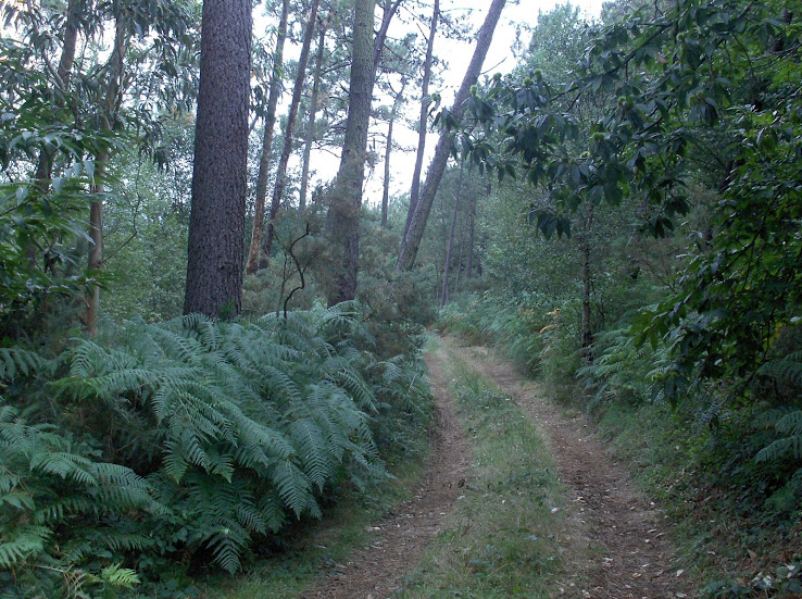 HPIM8778.JPG