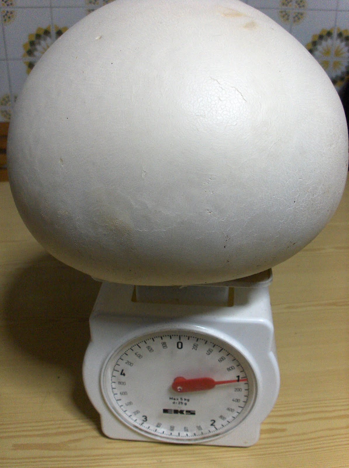 HPIM9313.JPG