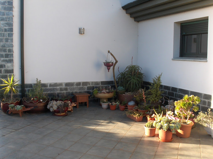 HPIM9435.JPG