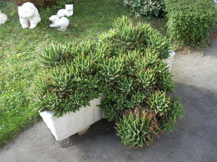 HPIM9523.JPG