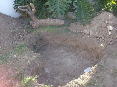 HPIM9714.JPG