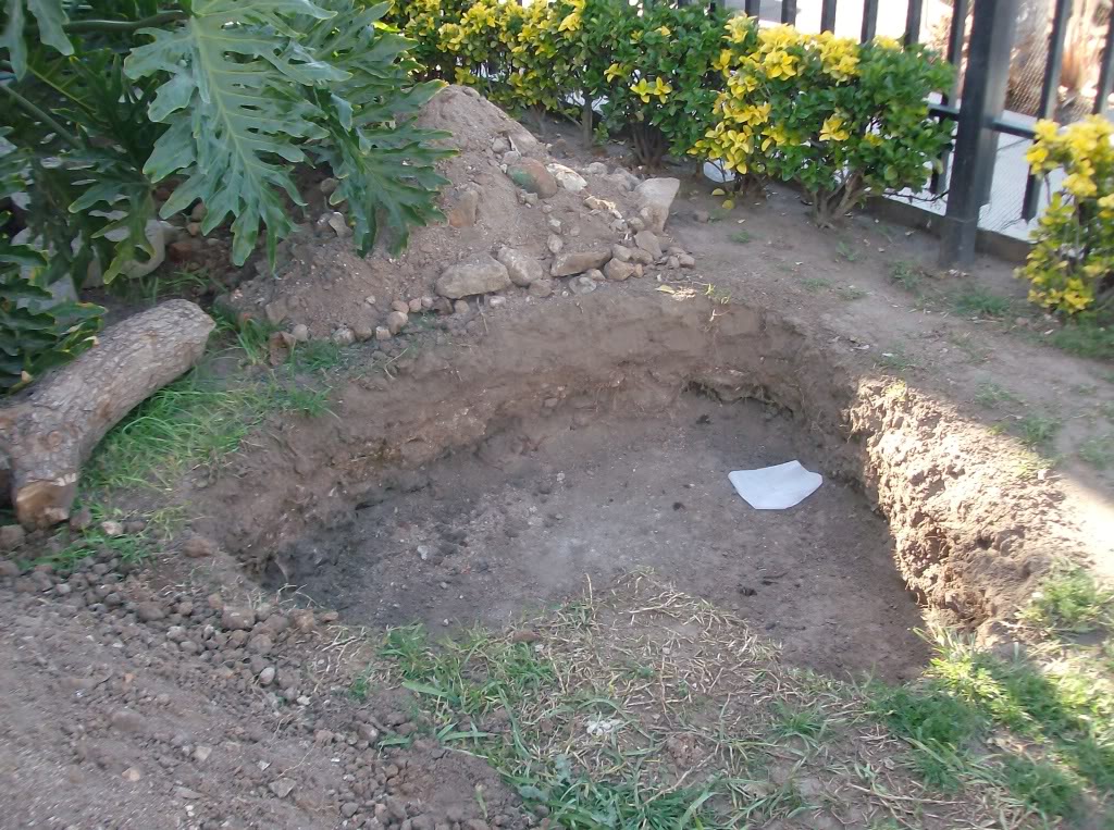 HPIM9715.jpg