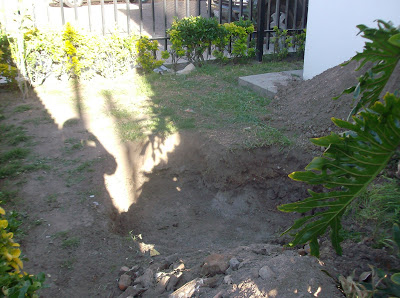 HPIM9716.JPG