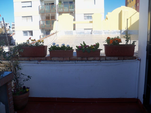 Hstb1013030J4s.jpg