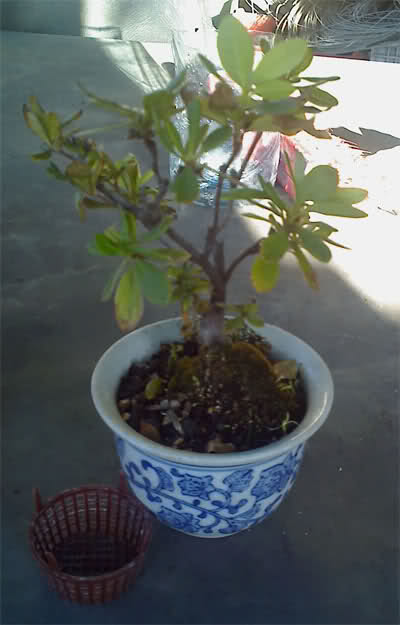 hty90l.jpg
