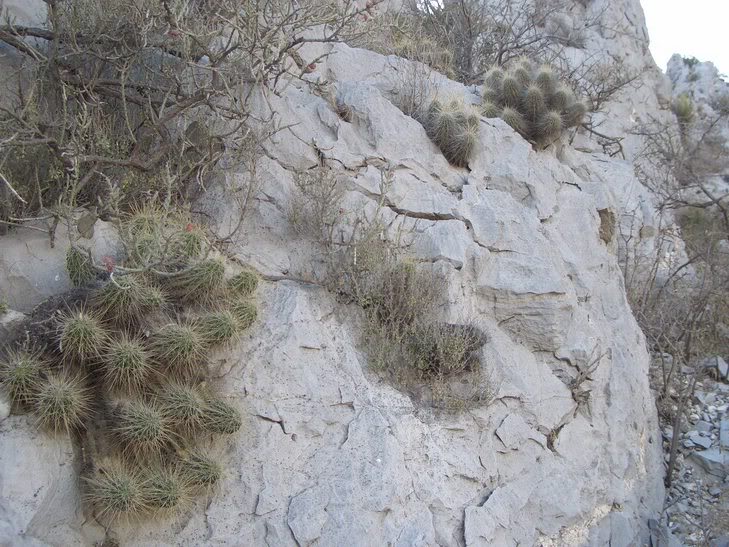 huasteca012.jpg