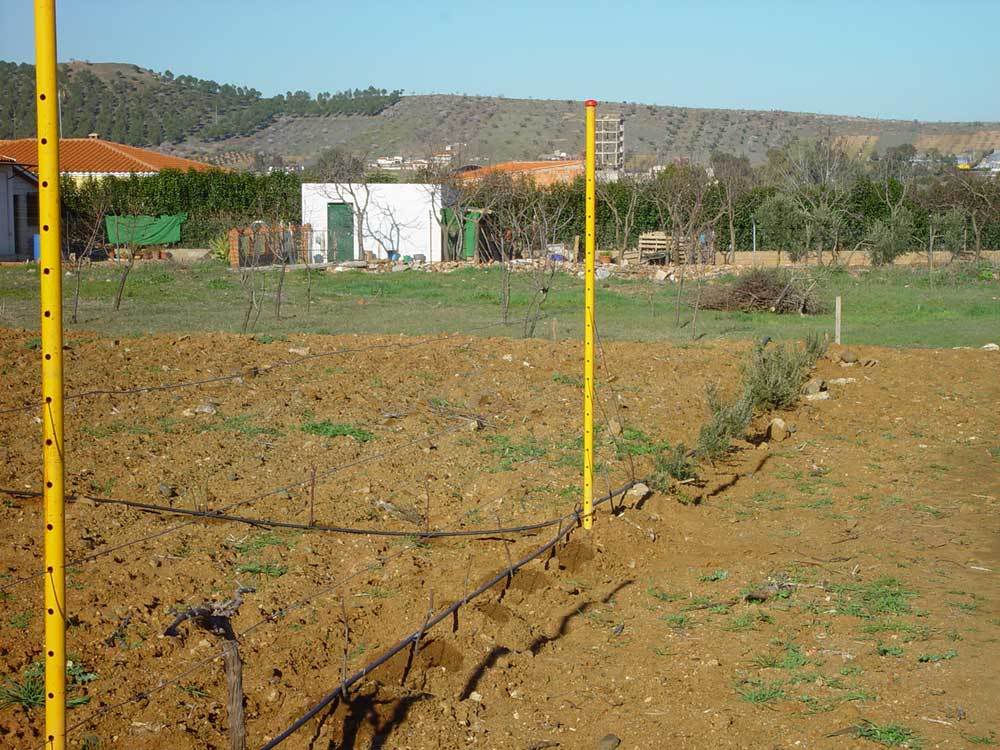 huerta-017.jpg