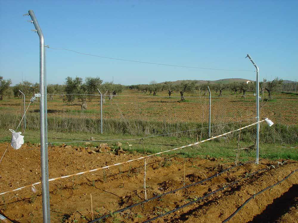 huerta-018.jpg