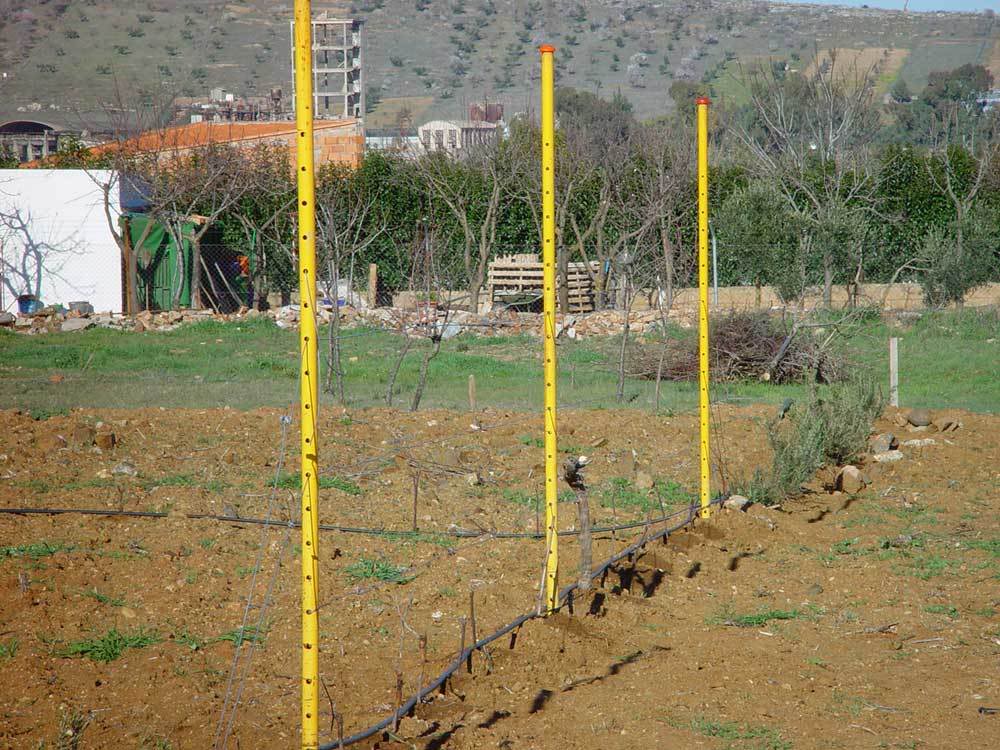 huerta-020.jpg