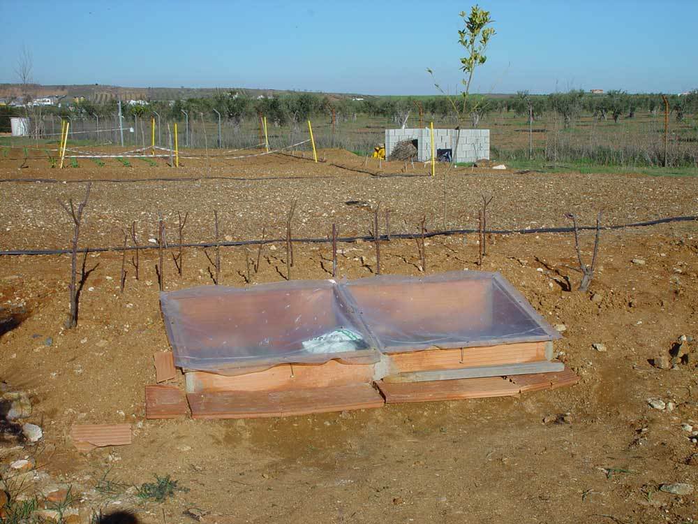 huerta-021.jpg