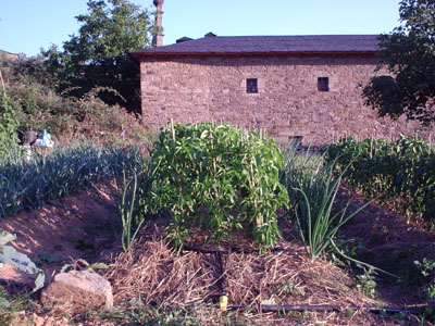 huerta%20para%20infoj.jpg