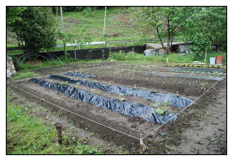 huerta07.jpg