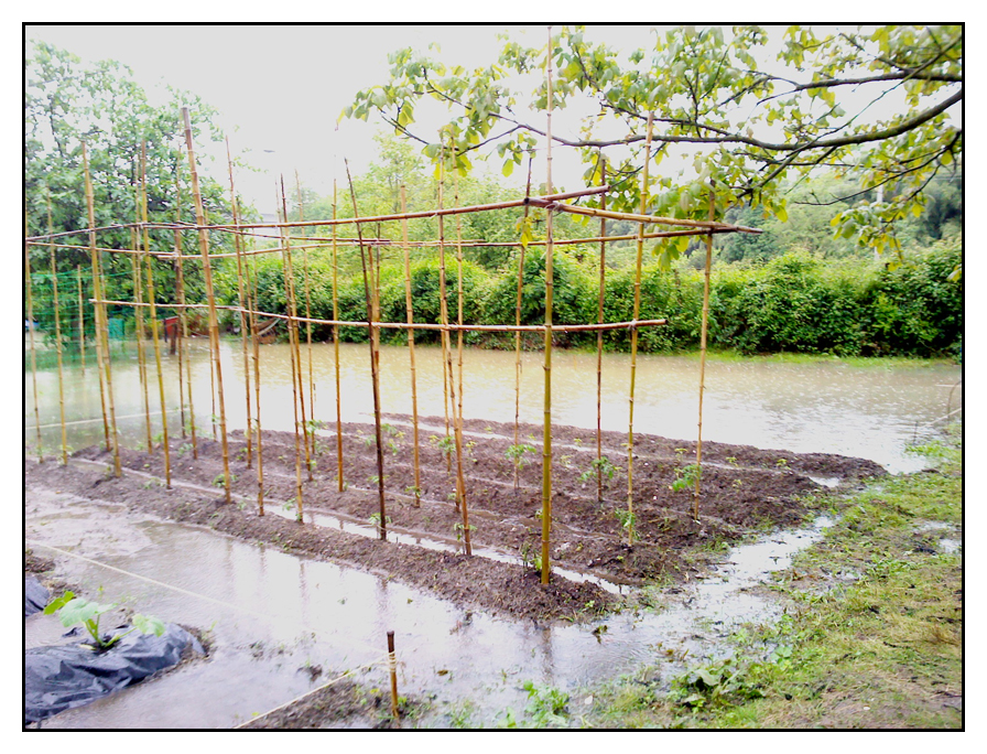 huerta08.jpg