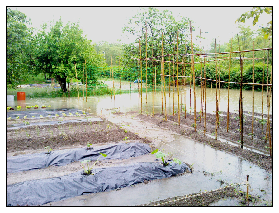 huerta09.jpg