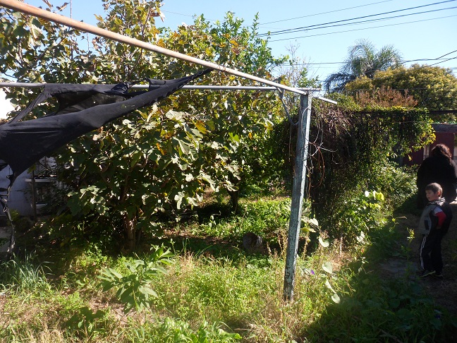 huerta1.jpg