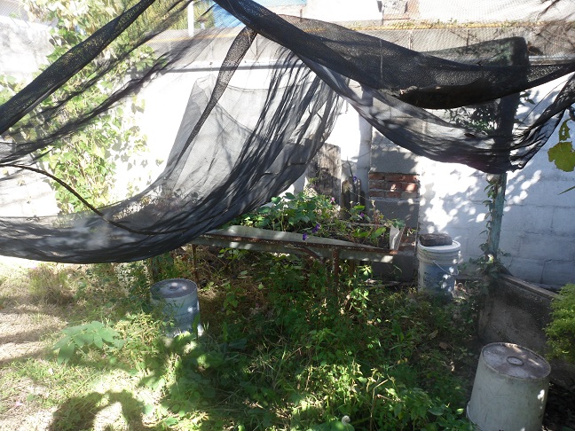 huerta10.jpg