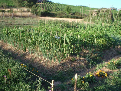 huerta2%20para%20infoj.jpg