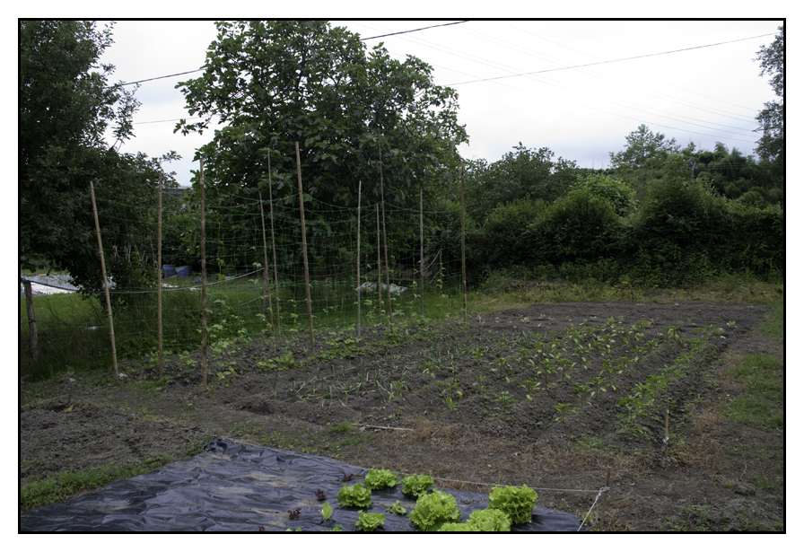 huerta25.jpg