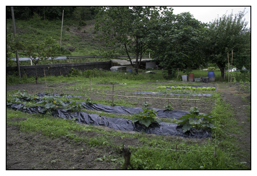 huerta26.jpg