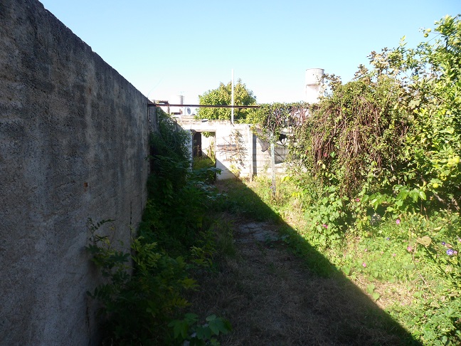 huerta6.jpg