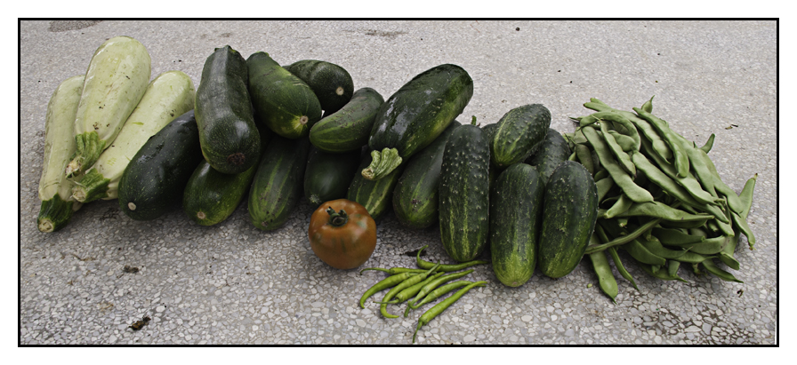 huerta93.jpg