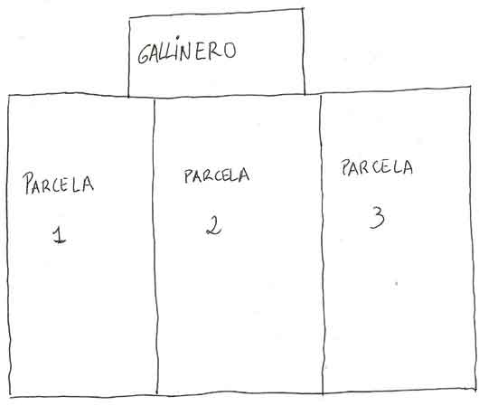 huertagallinero.jpg