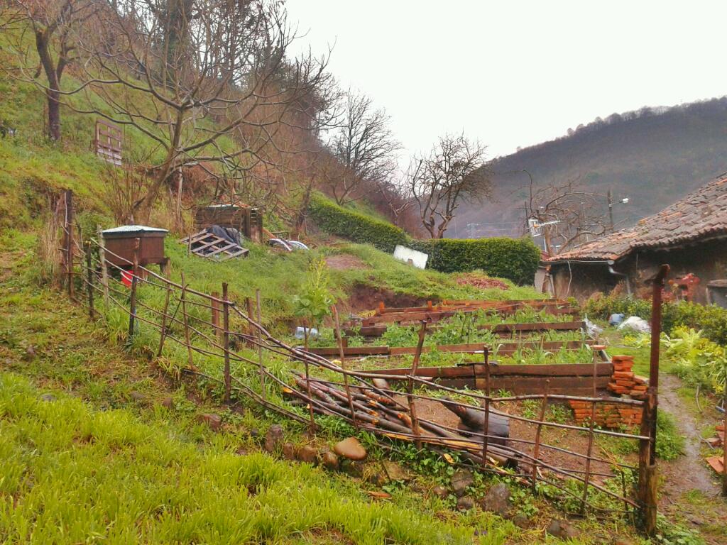 Huerto-feb_13.jpg