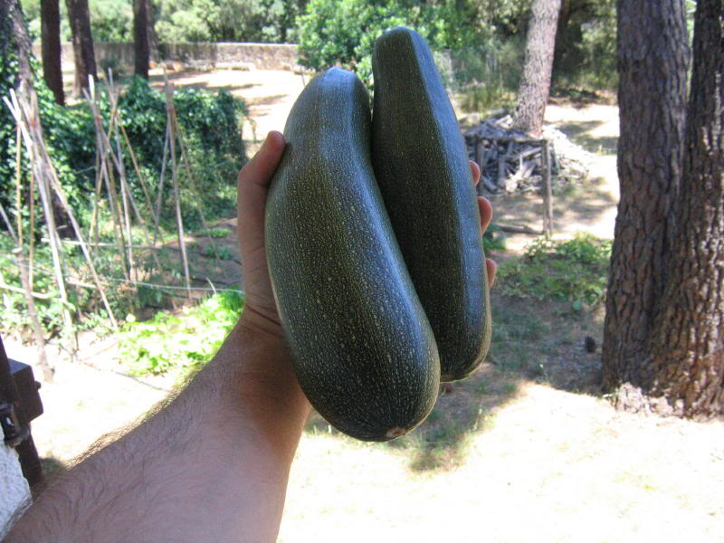 huerto2005_0001_1.jpg