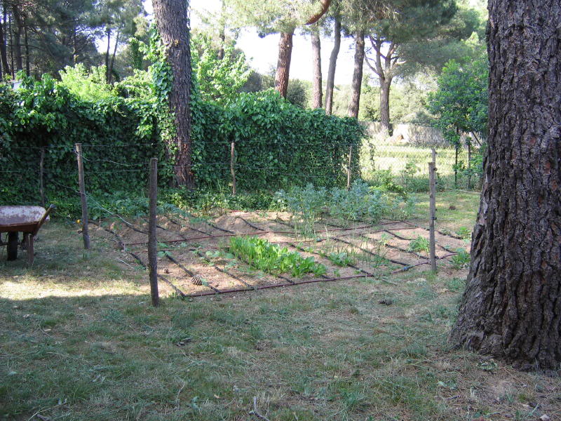 huerto2005_0017_1.jpg
