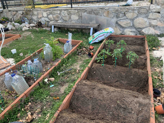 huerto2022-11.jpg