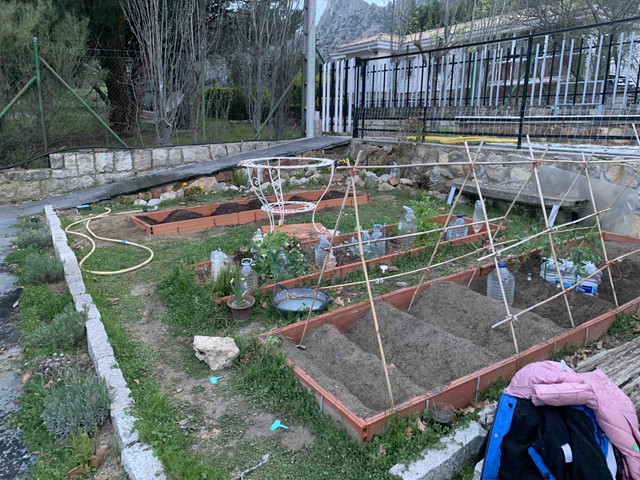 huerto2022-14.jpg