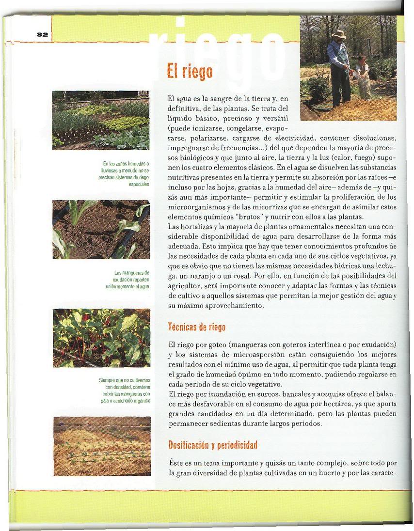 huerto3.jpg