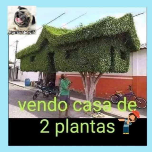 humor-de-wifi-vendo-casa-de-2-plantas-dRhkw.jpg