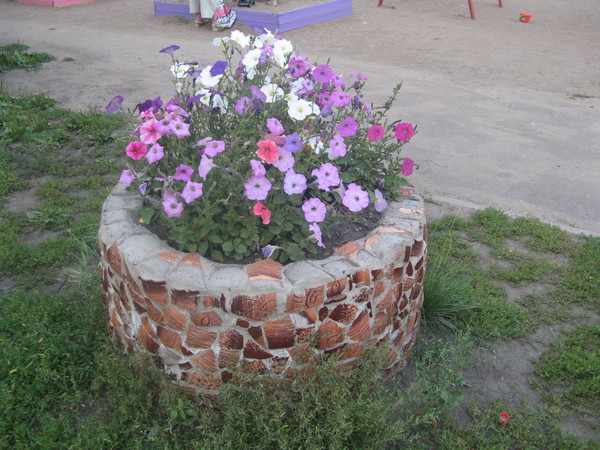 i-5600.jpg