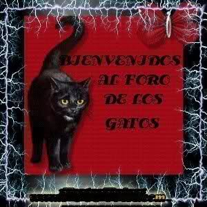 i1mq6a.jpg