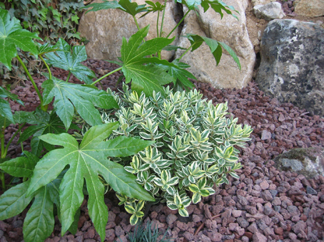 I2-94MG_0049.jpg