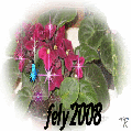 i5rrpe.gif