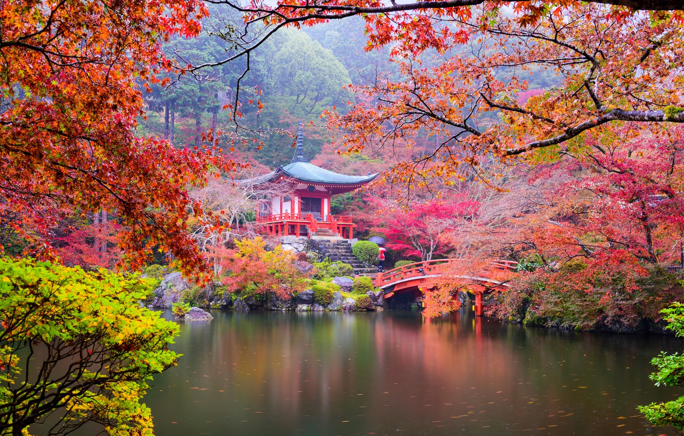 iaponiia-kioto-park-prud-most-kamni-kusty-derevia-lestnitsa.jpg
