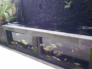 Ibrahim+'s+glass+pond.jpg