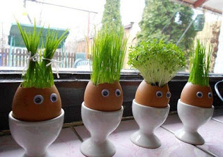 Idea+Para+Reciclar+Cascaras+de+Huevo1.jpg