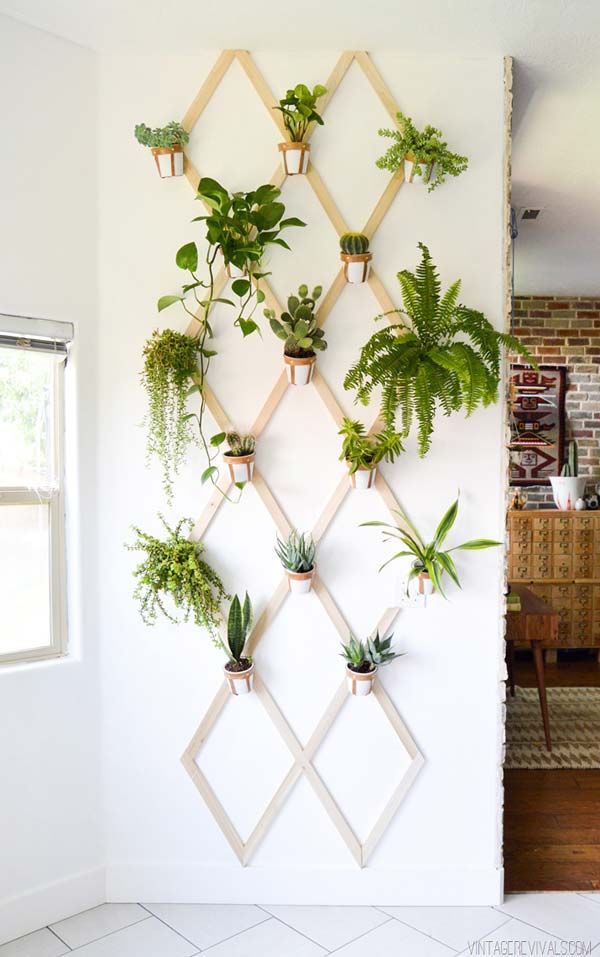 ideas-mini-jardines-1.jpg