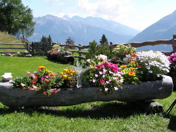 ideas-originales-para-colocar-tus-plantas1.jpg