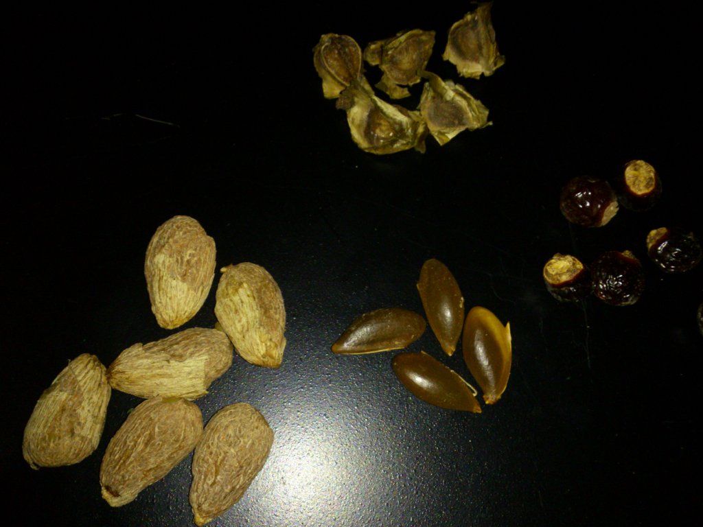 Identificar05.jpg